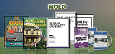 Mold